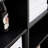 American style luxurious black bookcase
