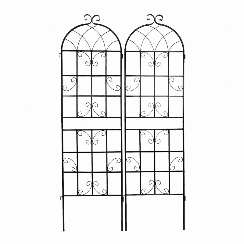 Barrière de jardin, paquet de 2 treillis de jardin en métal antirouille pour plantes grimpantes, Noir