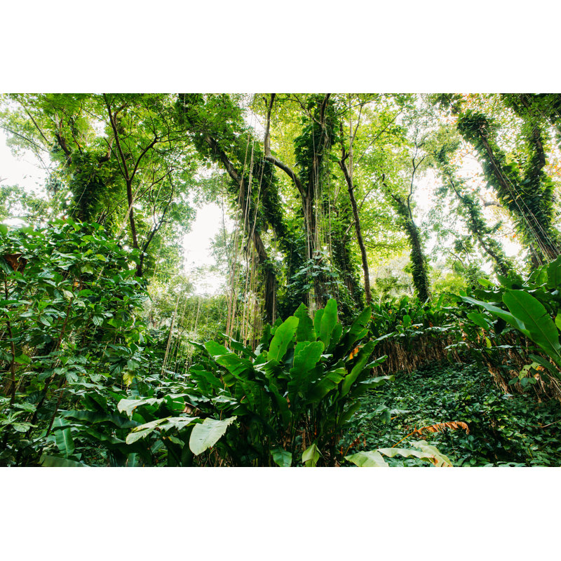 Mountains In The Caribbean by Npdesignde - Wrapped Canvas Print, 30cm H x 46cm W 