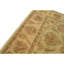 Wool Oriental Area Rug in Ivory