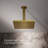 Contemporary Rain Shower Head-92915136-125040972-125040975