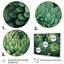 «Green Mums In Bloom» sur toile-1867560984-1867560987