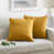 Ochre
