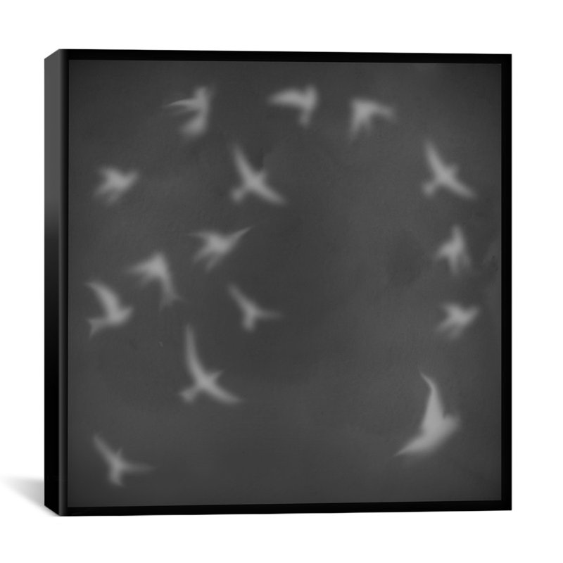Albree Modern, vol d'oiseaux, impression sur toile, H 26 po x l 26 po x P 1,5 po, Toile tendue, Non mat