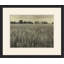 Barn And Field II Print