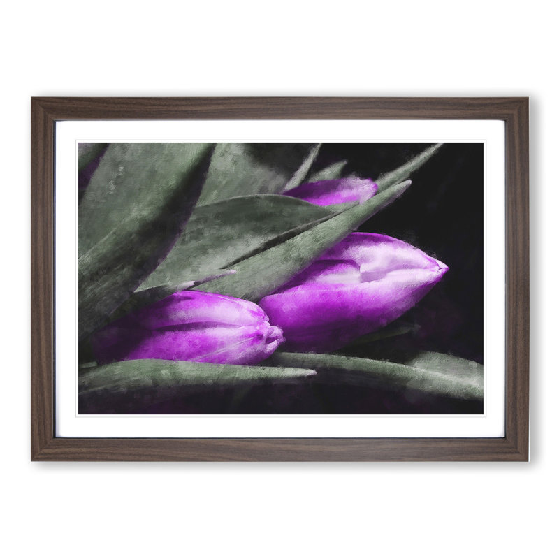 Purple Tulip Flowers Vol.1 - Framed Print, 27cm H x 36cm W x 2cm D, Walnut Framed