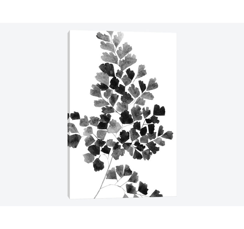 «Black Fern» - Impression sur toile tendue, H 18 po x l 12 po x P 1,5 po, Toile tendue, Pas de tapis