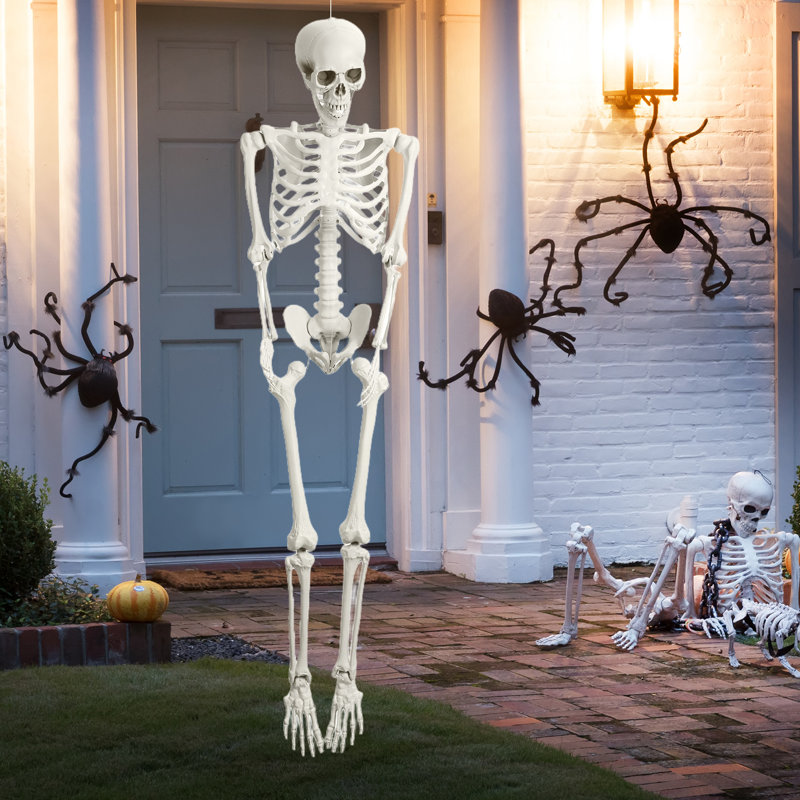 5,4 pi squelette de vie d'Halloween, squelette pleine grandeur pour les accessoires de jardin d'Halloween