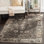 Vishnu Vintage Performance Oriental Rug