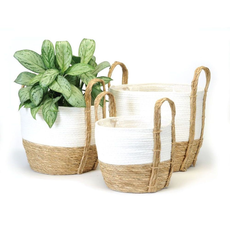 Ensemble de cache-pots en plastique 3 pièces Ambrette