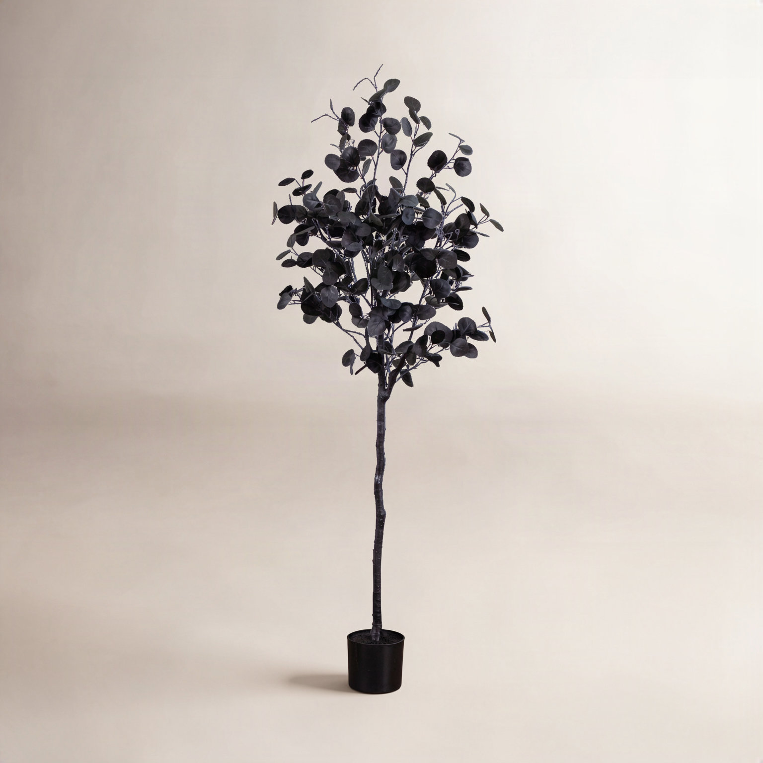 72" Eucalyptus Tree in Nursery Pot, 60" H x 24" W x 24" D