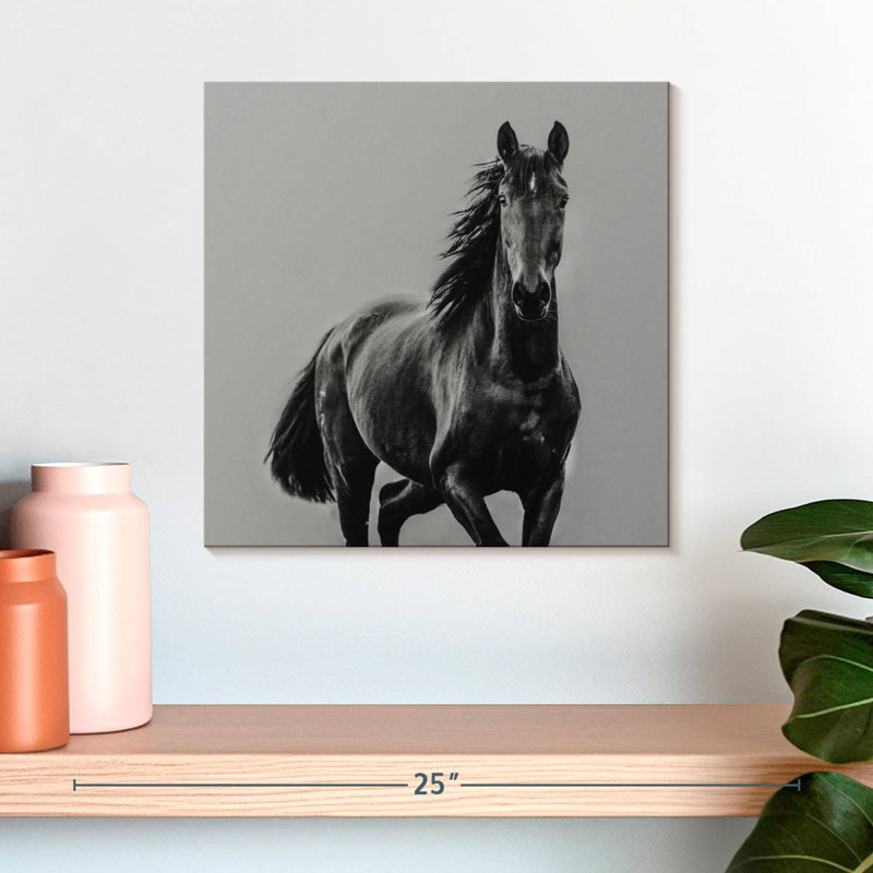 Cheval noir Brampt