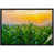 Black Framed selected