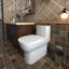 Toilette une pièce à double chasse