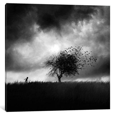 'Illusion d'un Primptemps Perdu II' by Sebastien Del Grosso Photographic Print on Wrapped Canvas