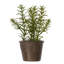 Ensemble de 3 plantes artificielles en pot
