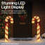 Decoration-1636688292
