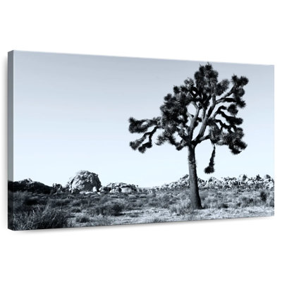 Ravi Joshua Tree National Park VI