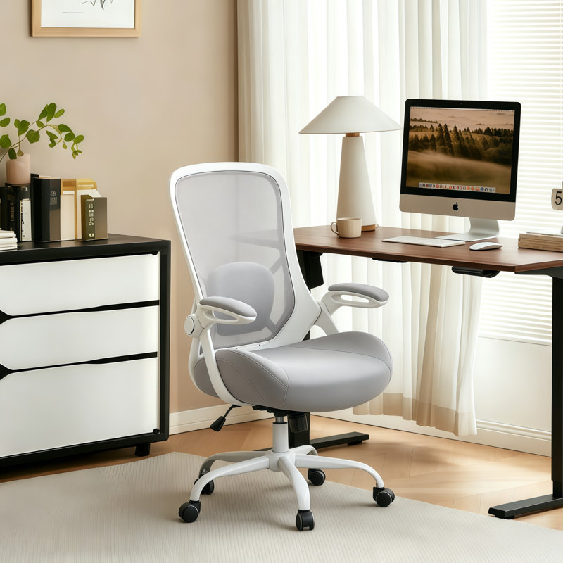 Fauteuil de bureau ergonomique Home Ofiice, Gris, Blanc