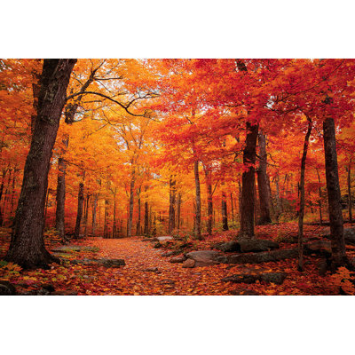 Autumn Bridgeway Vista Wrapped Canvas Wall Art