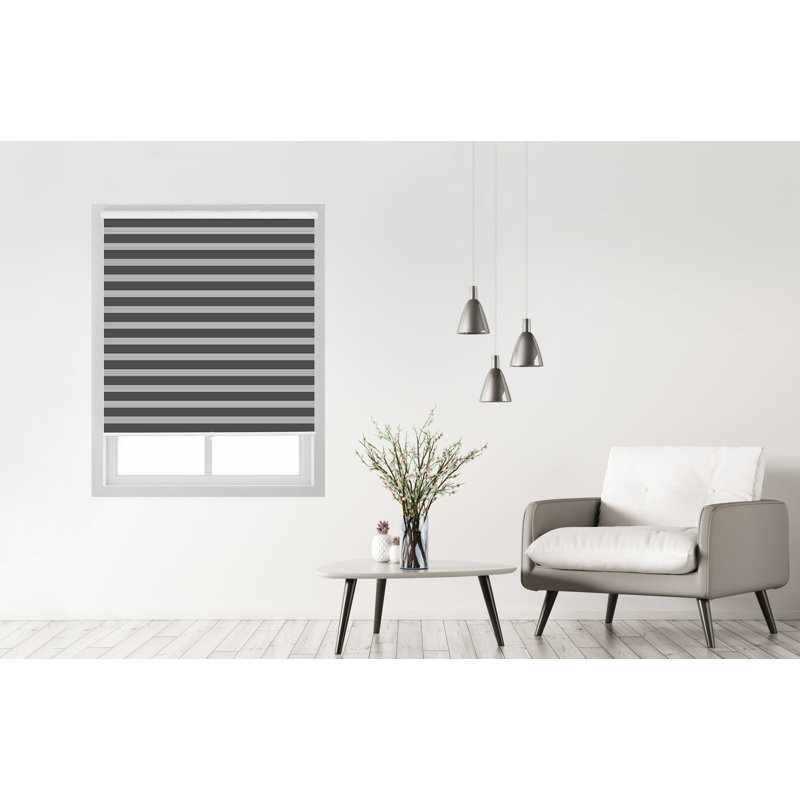 Store à enroulement semi-transparent sans cordon, gris, L 20 po x L 72 po