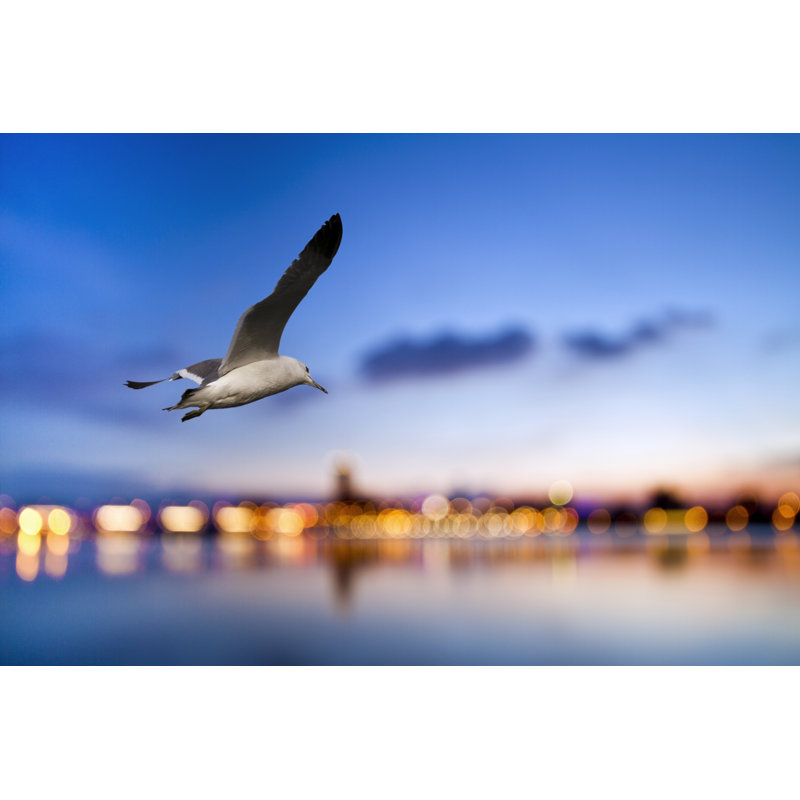 Flight Through Wings by Photoncatcher - Wrapped Canvas Print, 30cm H x 46cm W