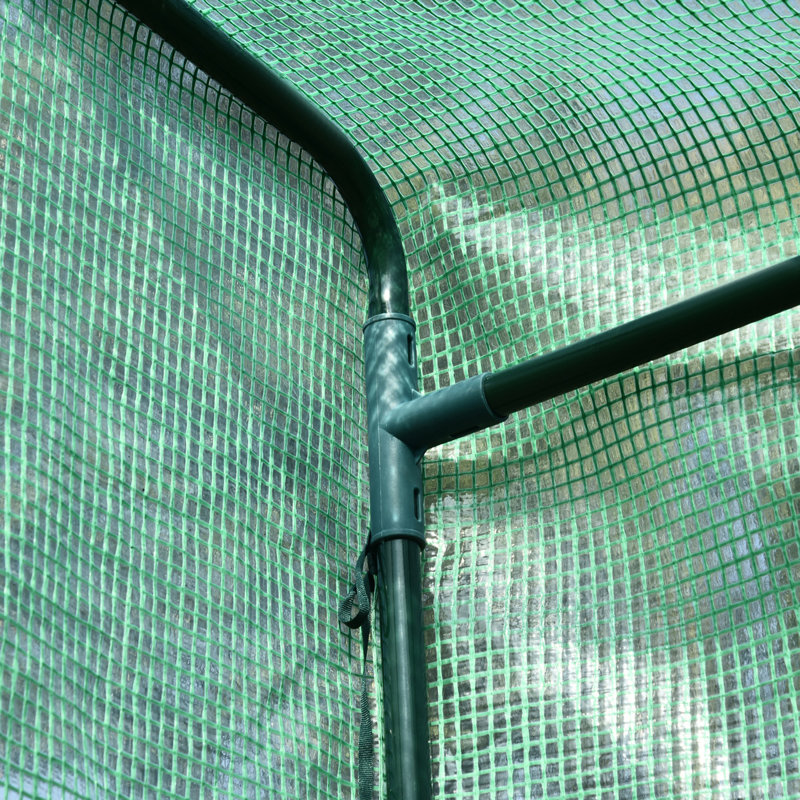 Aaliegha 1 Ft W x 1 Ft D Mini Greenhouse