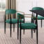 Ensemble de chaises d'appoint rembourrées 2 pièces-215524424