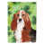 Basset hound brun / blanc
