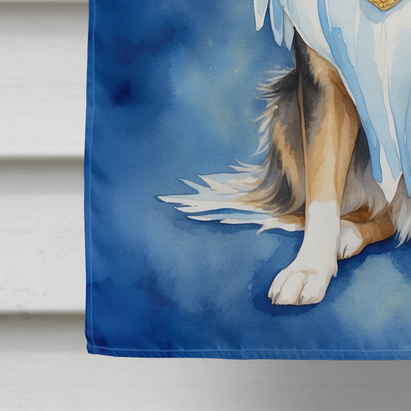 Collie, mon ange drapeau de maison