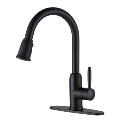 Pull Down Kitchen Faucet