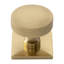 Parkview Brass Knob Backplate-1724081515