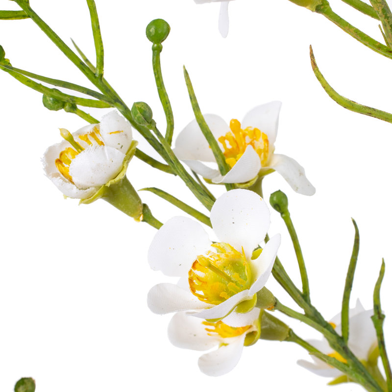 Polyethylene (PE) Baby's Breath Arrangement