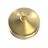 Levantine 8 in. Shower Head, Polished Brass-121869659