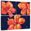 Hibiscus Harnek Hilo-109098199