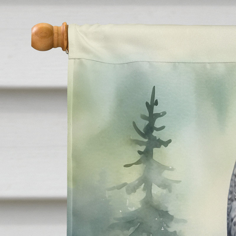 House Flag, Great Gray Owl