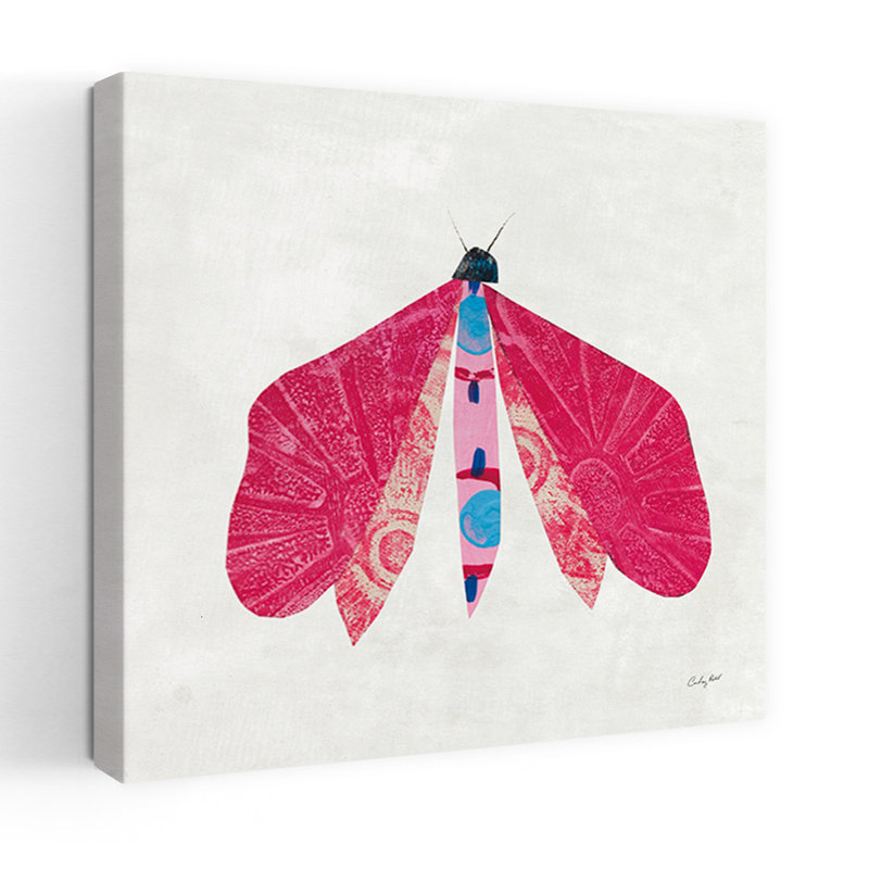 Collage insectes VI, papillon contemporain, H 36 po x l 36 po