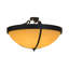 Alysiales 6 - Light Semi Flush Mount
