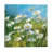 Summer Field II by Summer Field II - Painting on Canvas-1285479905-1211614299