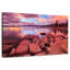 Alvord, teinte rose du lac Tahoe-107672046