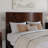 Darlean Solid Wood Trundle Platform Bed with Footboard & Roll Out Trundle-119533553-119533565