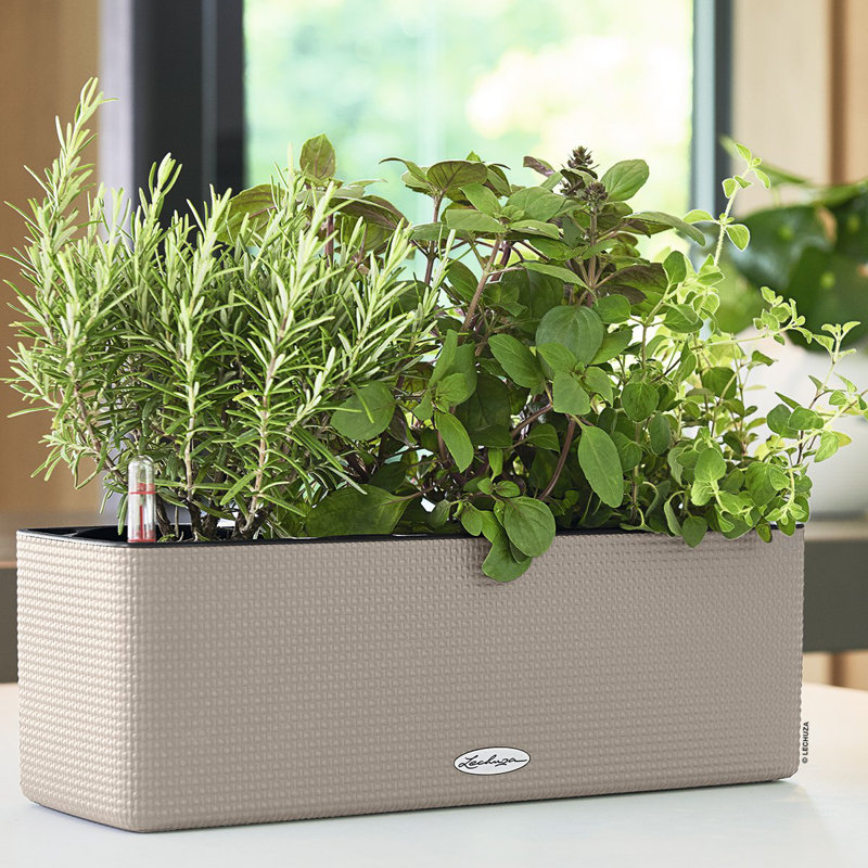 Window Box Planter, Sand Brown