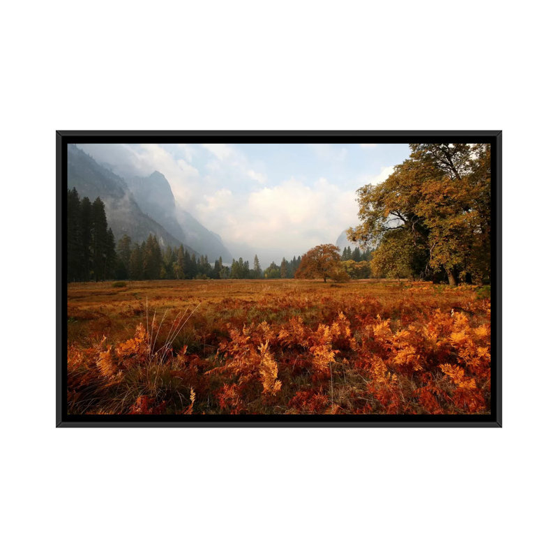 « pré », reproduction de photo sur toile, H 18 po x l 26 po x P 1,5 po, Toile avec cadre noir, Pas de tapis
