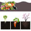 Pot à fleurs surélevé en plastique Aashika