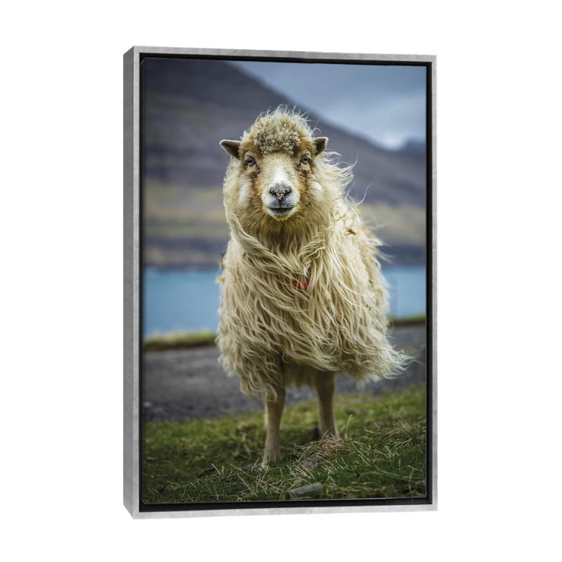 The Sheep par Anders Jorulf-reproduction de photo, H 60 po x l 40po x P 1,5 po, Toile avec cadre argenté, Pas de tapis