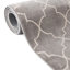 Tapis Antwanae Jill Zarin Lincoln Center Uptown-2073670504