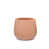 Terracota