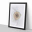 Pale Yellow Rose in Abstract - Picture Frame Drawing Print-55735064-55735065