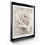 «Dreamy I», reproduction d'art sur papier encadré-809926971-809926960