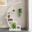 Plant Stand - Set of 2-1673585271